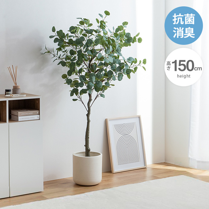 フェイクグリーン ユーカリ 高さ150cm 光触媒